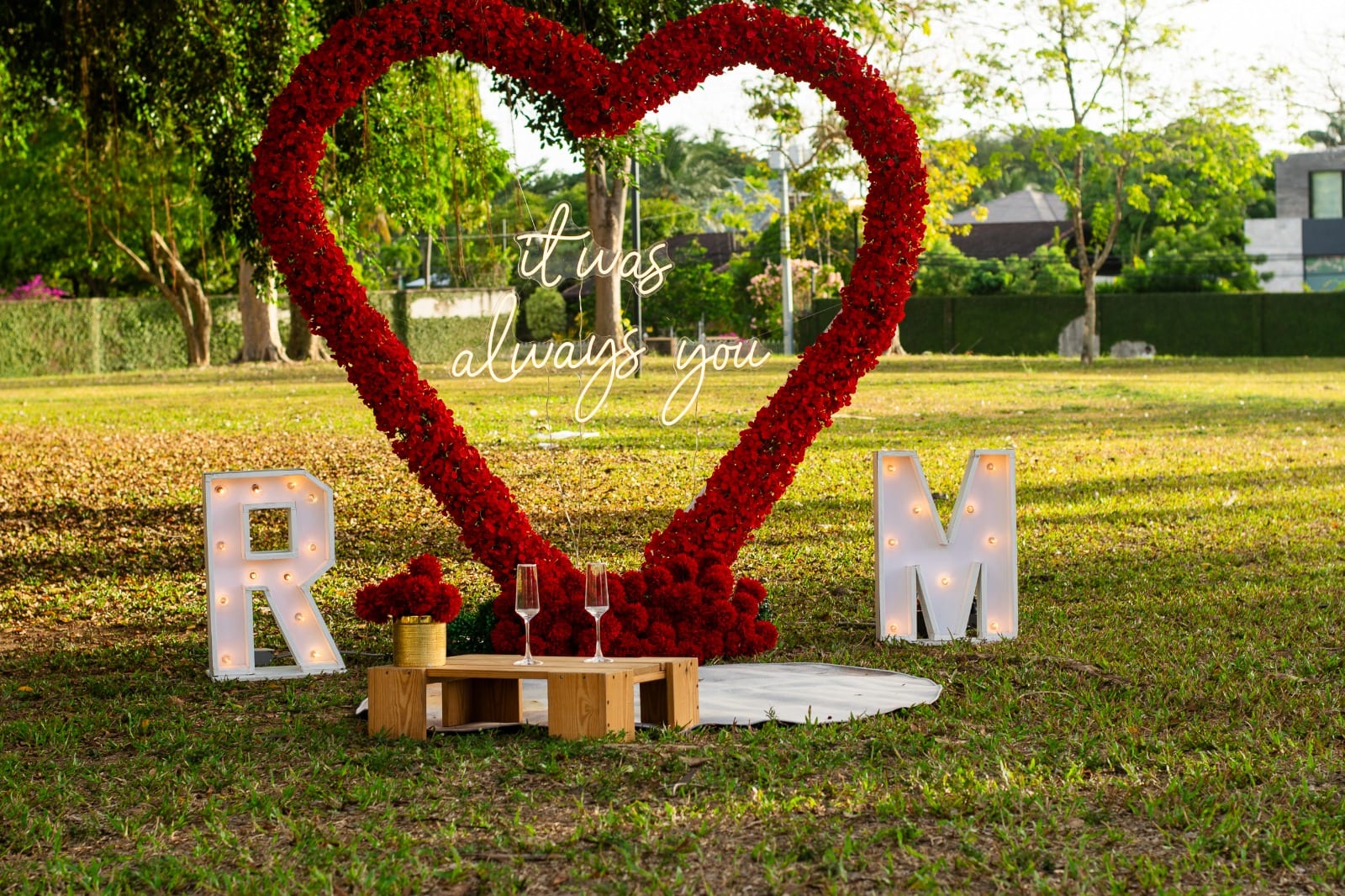 Proposals & Romantic